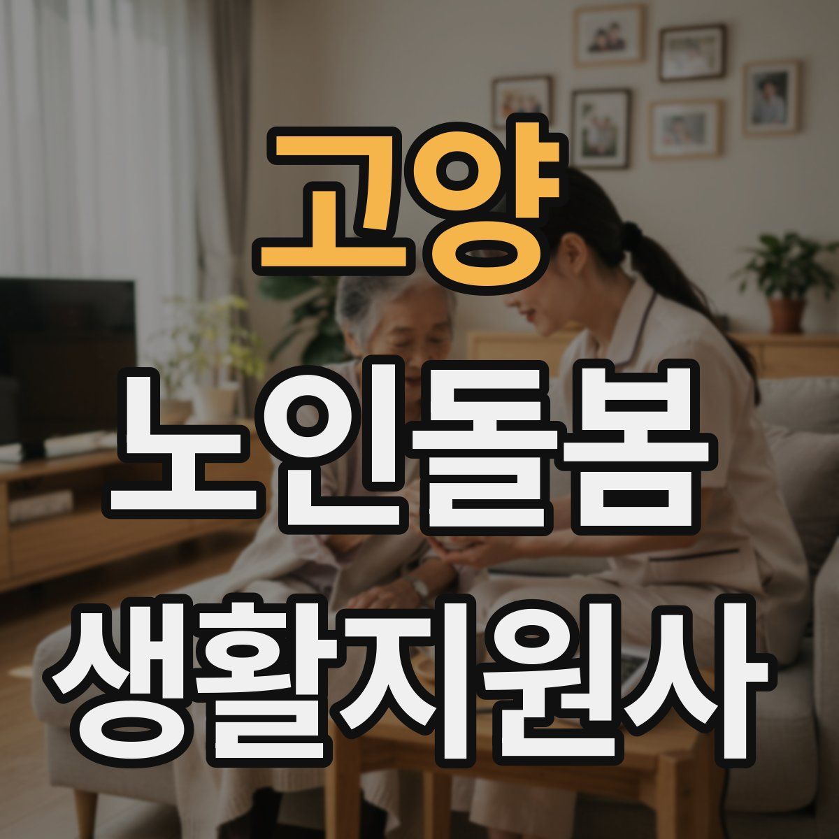 고양 노인돌봄생활지원사 자격증
