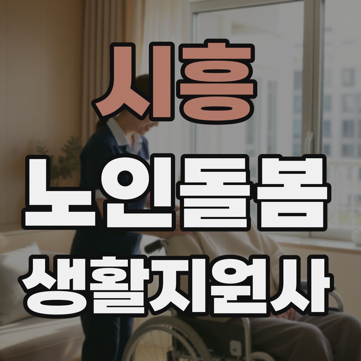 시흥 노인돌봄생활지원사 자격증