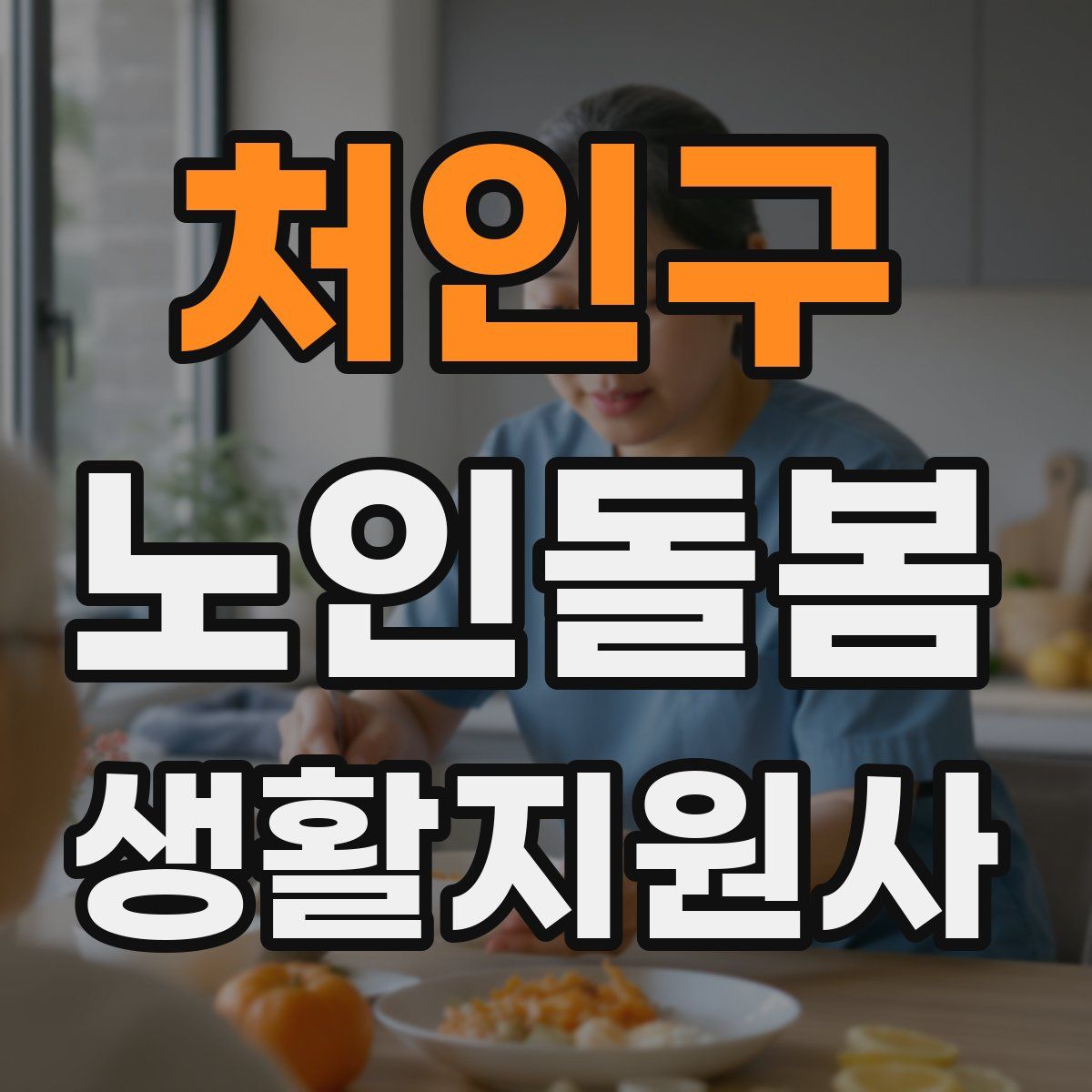 처인구 노인돌봄생활지원사 자격증