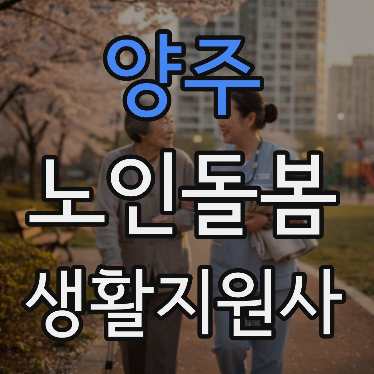 양주 노인돌봄생활지원사 자격증