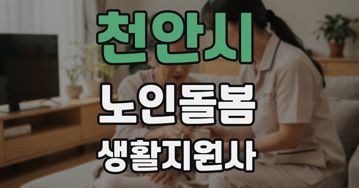 천안시 노인돌봄생활지원사 자격증