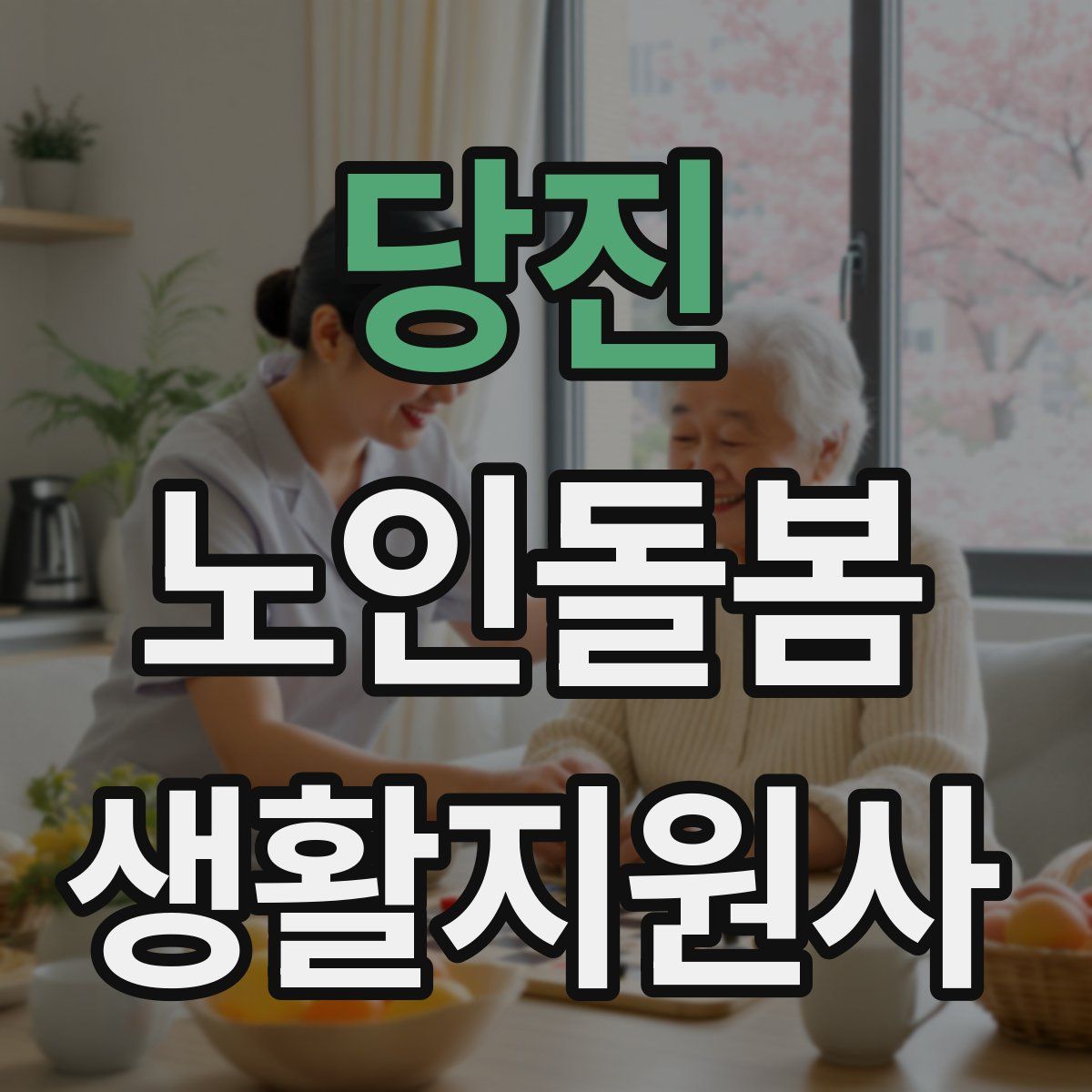 당진 노인돌봄생활지원사 자격증