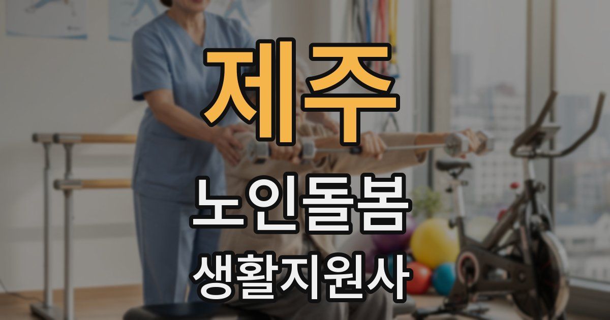 제주 노인돌봄생활지원사 자격증