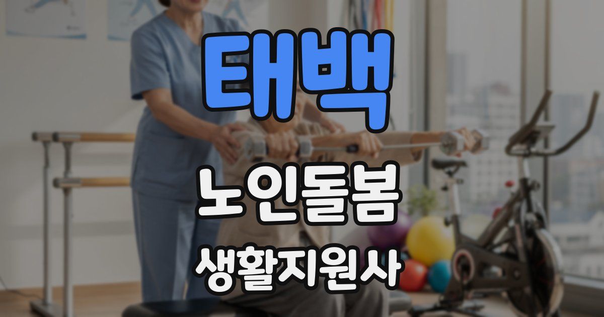 태백 노인돌봄생활지원사 자격증