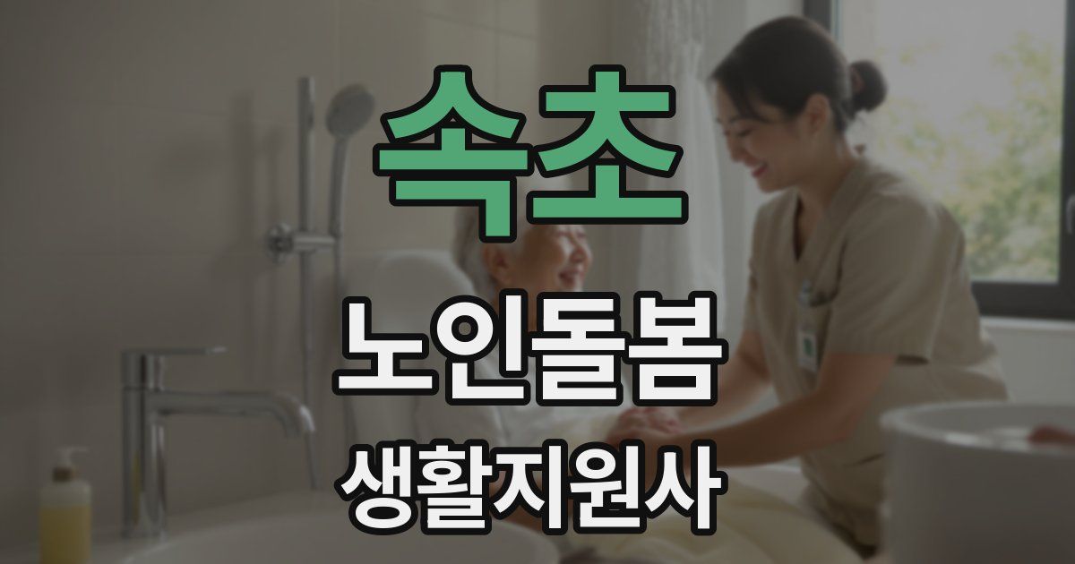 속초 노인돌봄생활지원사 자격증