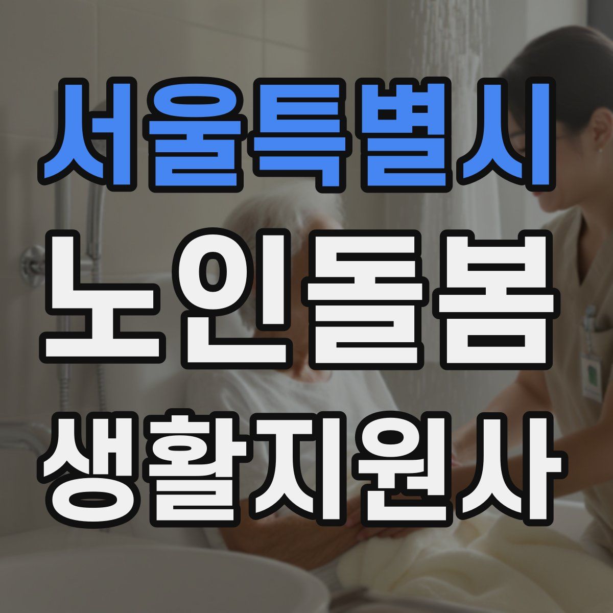 서울특별시 노인돌봄생활지원사 자격증