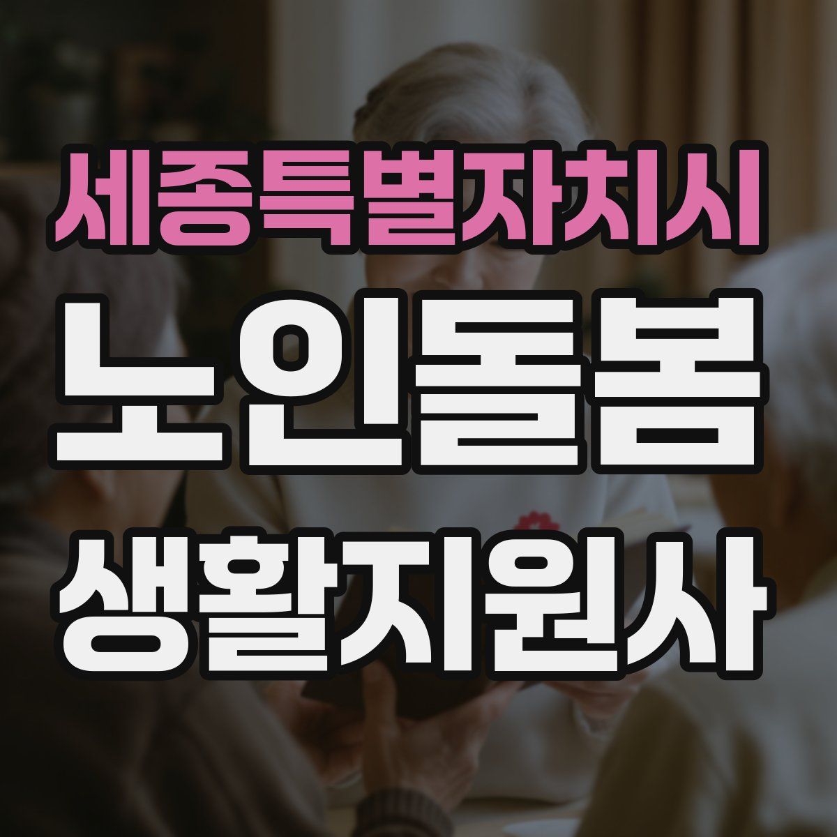 세종특별자치시 노인돌봄생활지원사 자격증
