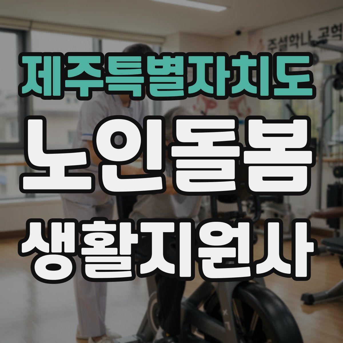 제주특별자치도 노인돌봄생활지원사 자격증