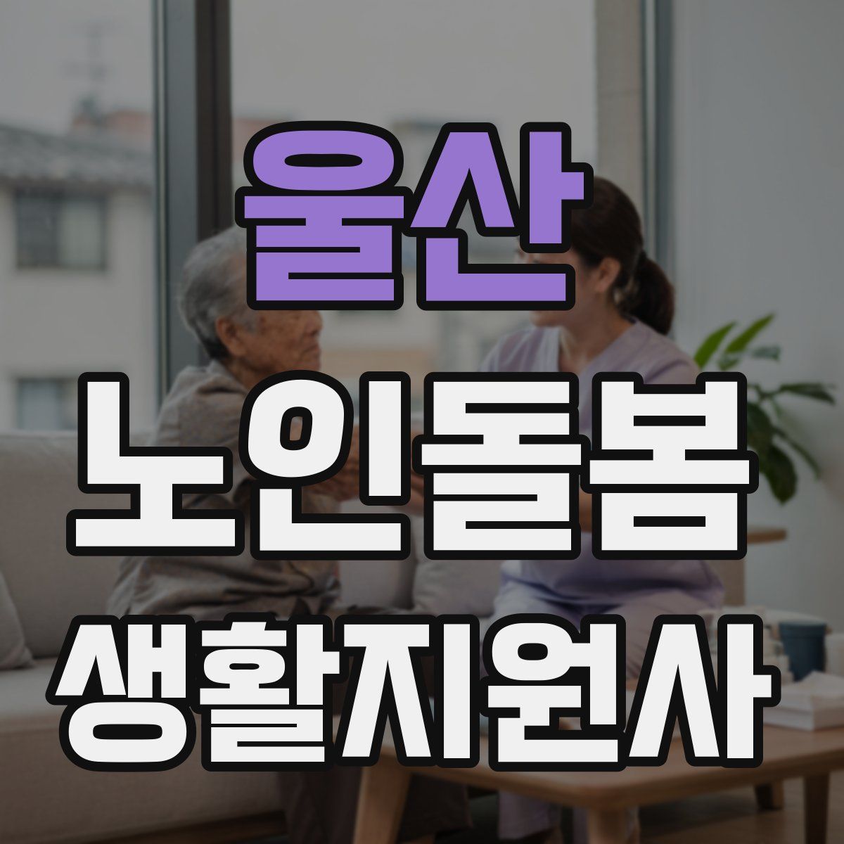 울산 노인돌봄생활지원사 자격증