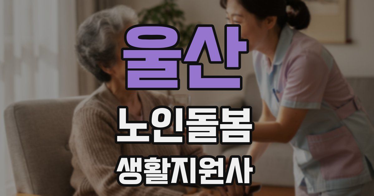 울산 노인돌봄생활지원사 자격증