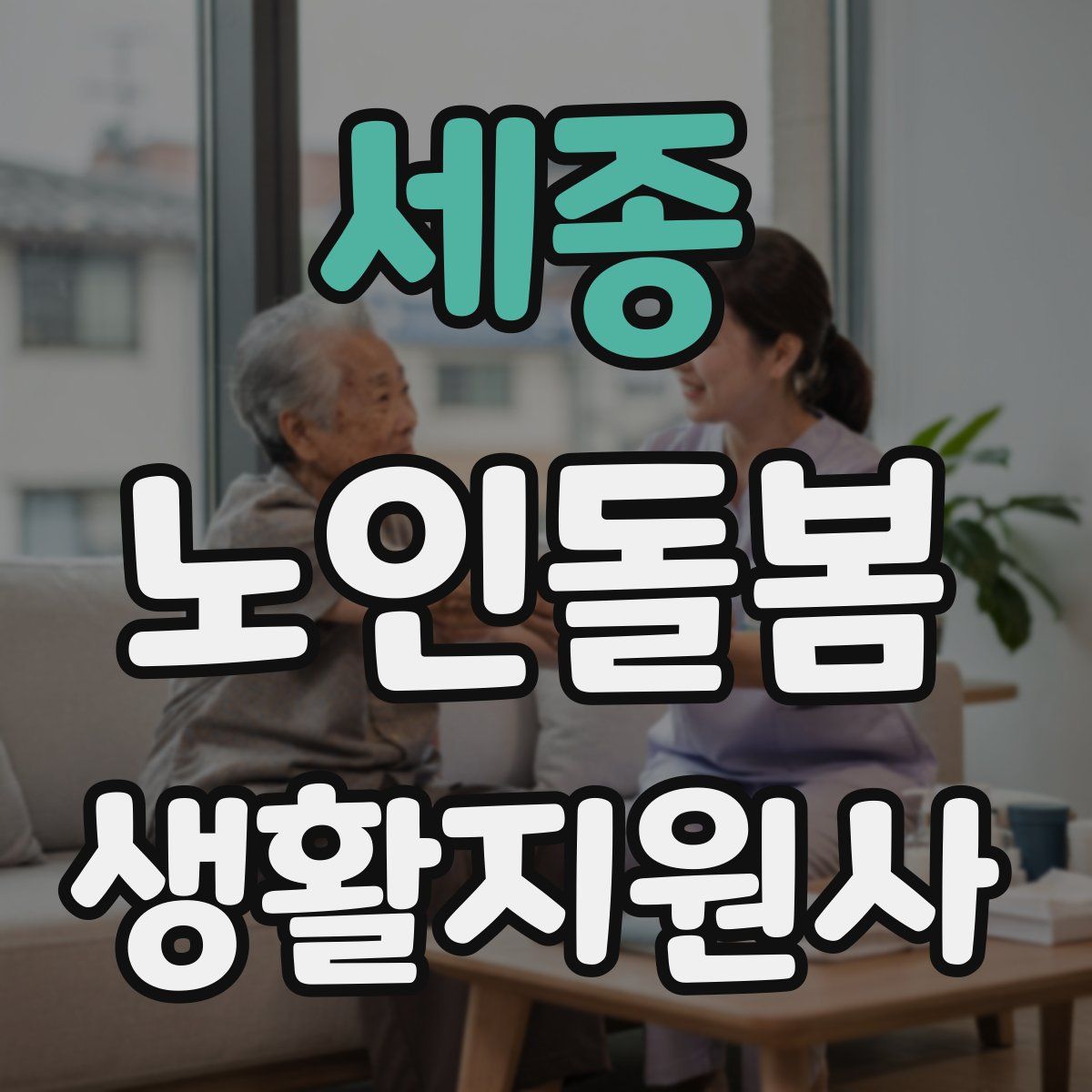 세종 노인돌봄생활지원사 자격증