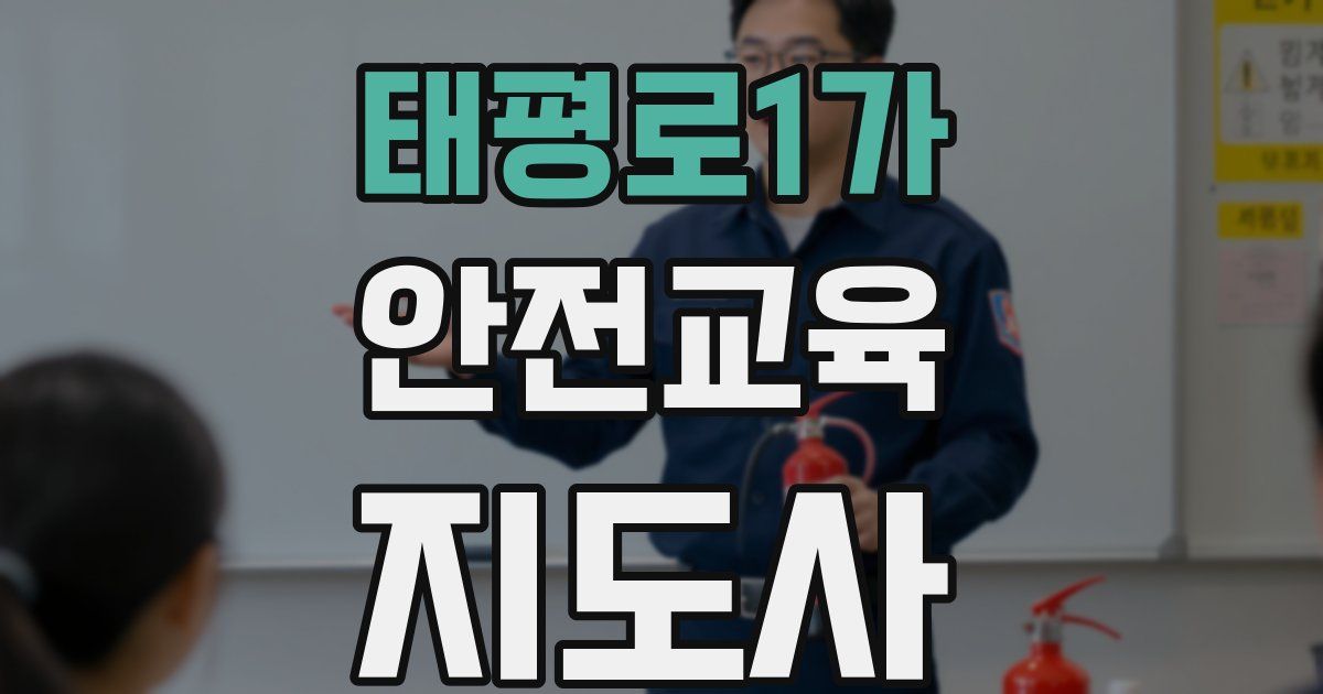 태평로1가 안전교육지도사 자격증