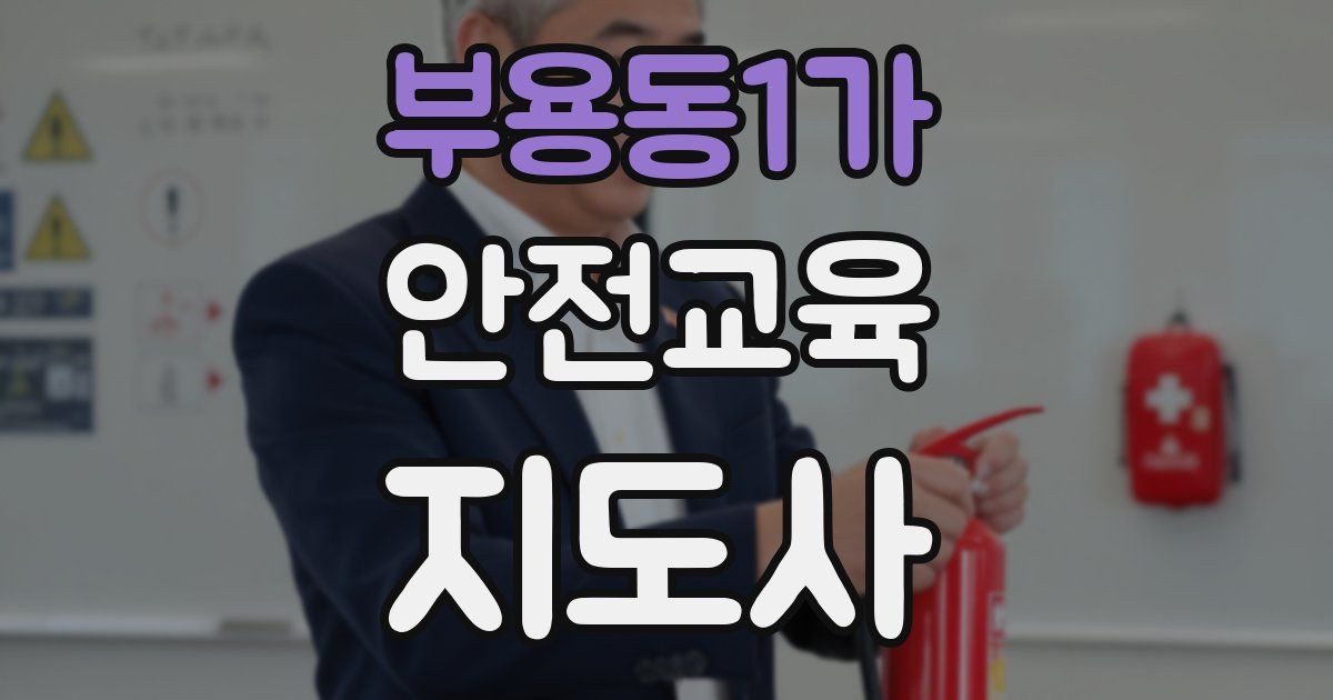 부용동1가 안전교육지도사 자격증