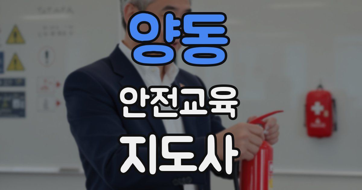 양동 안전교육지도사 자격증