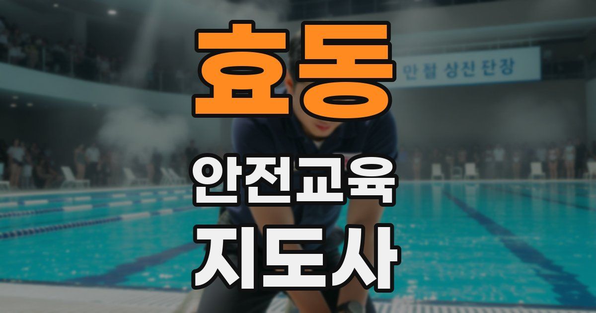 효동 안전교육지도사 자격증