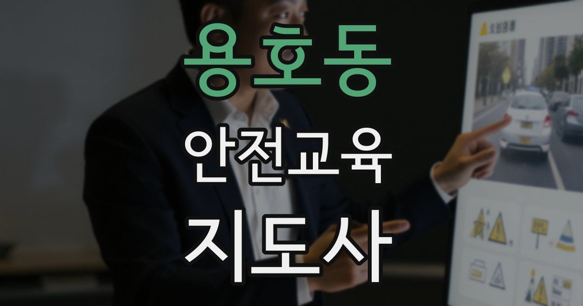 용호동 안전교육지도사 자격증