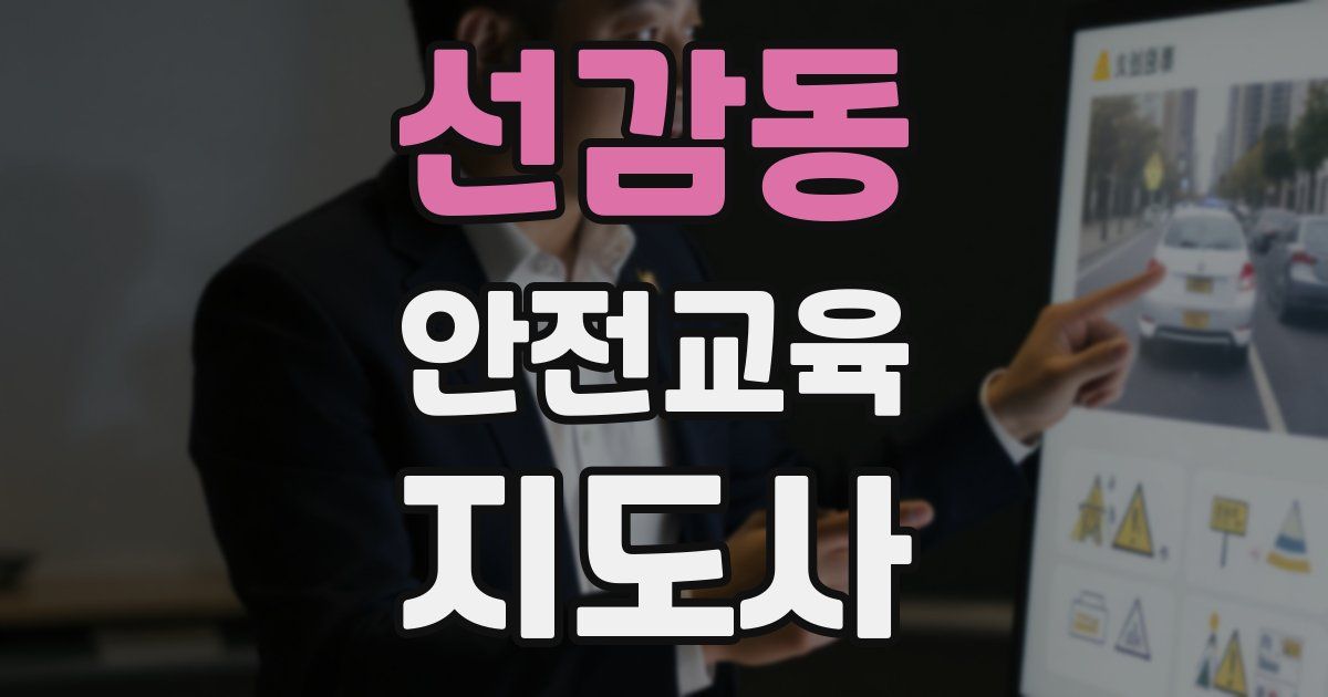 선감동 안전교육지도사 자격증