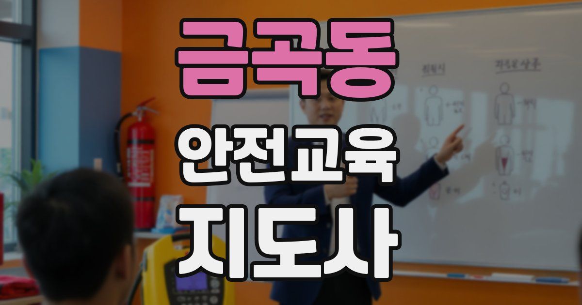 금곡동 안전교육지도사 자격증