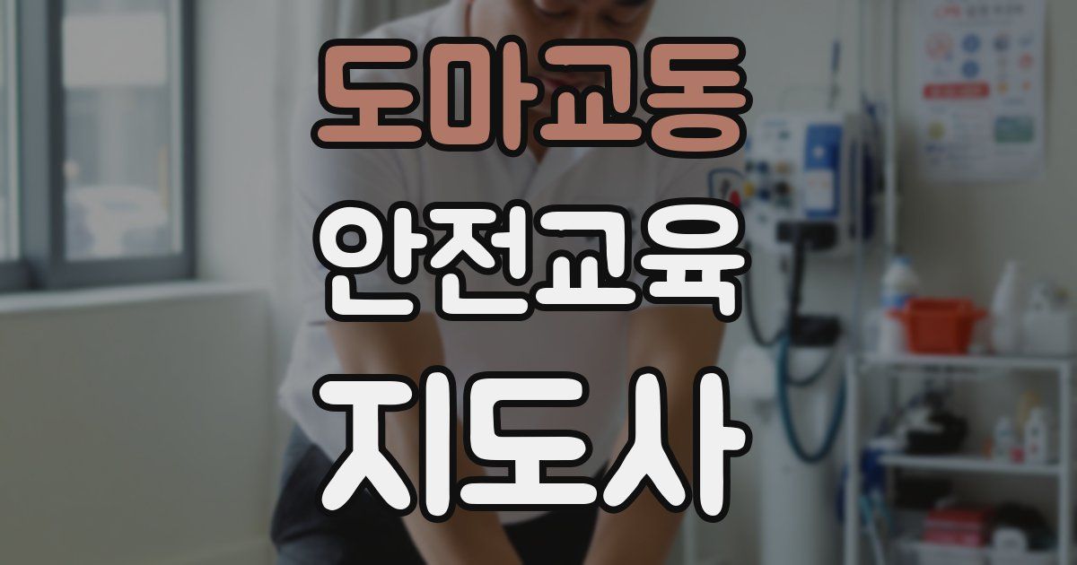 도마교동 안전교육지도사 자격증