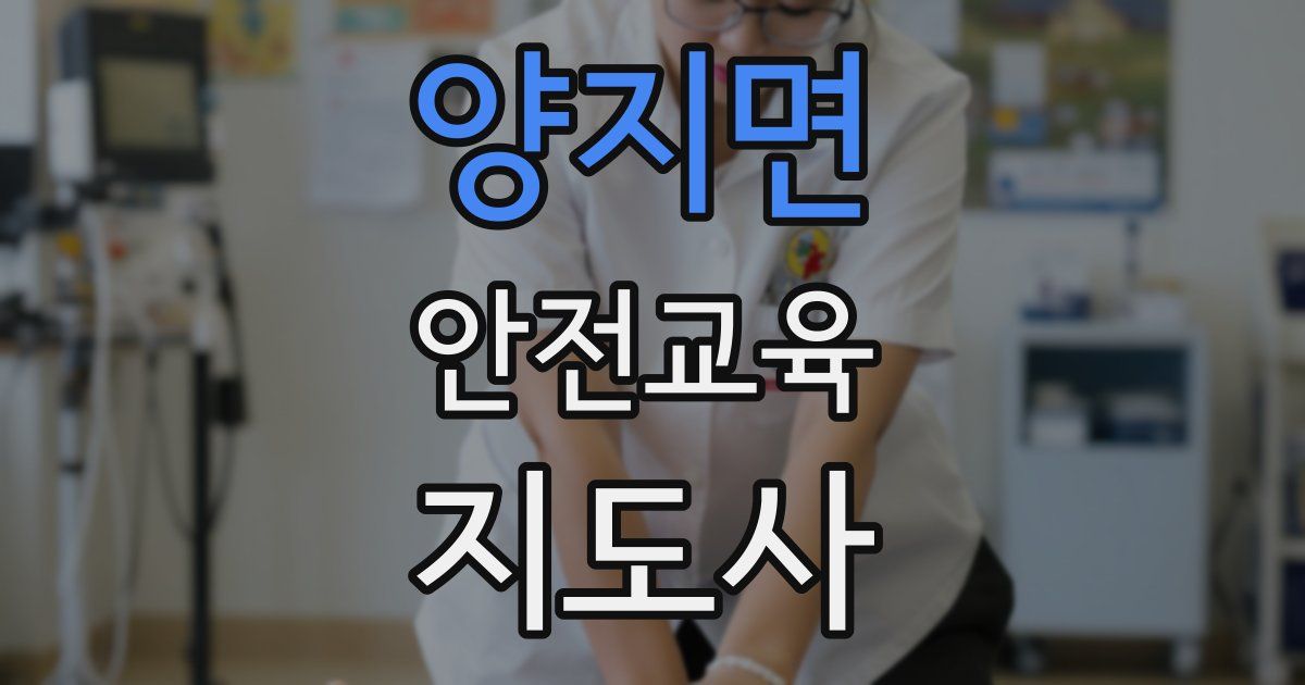 양지면 안전교육지도사 자격증