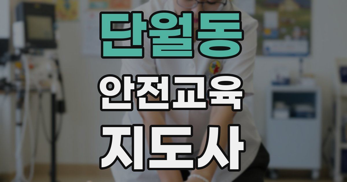 단월동 안전교육지도사 자격증