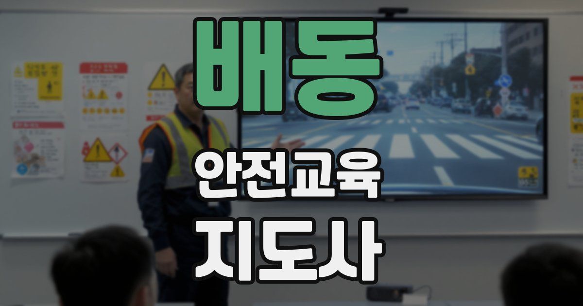 배동 안전교육지도사 자격증