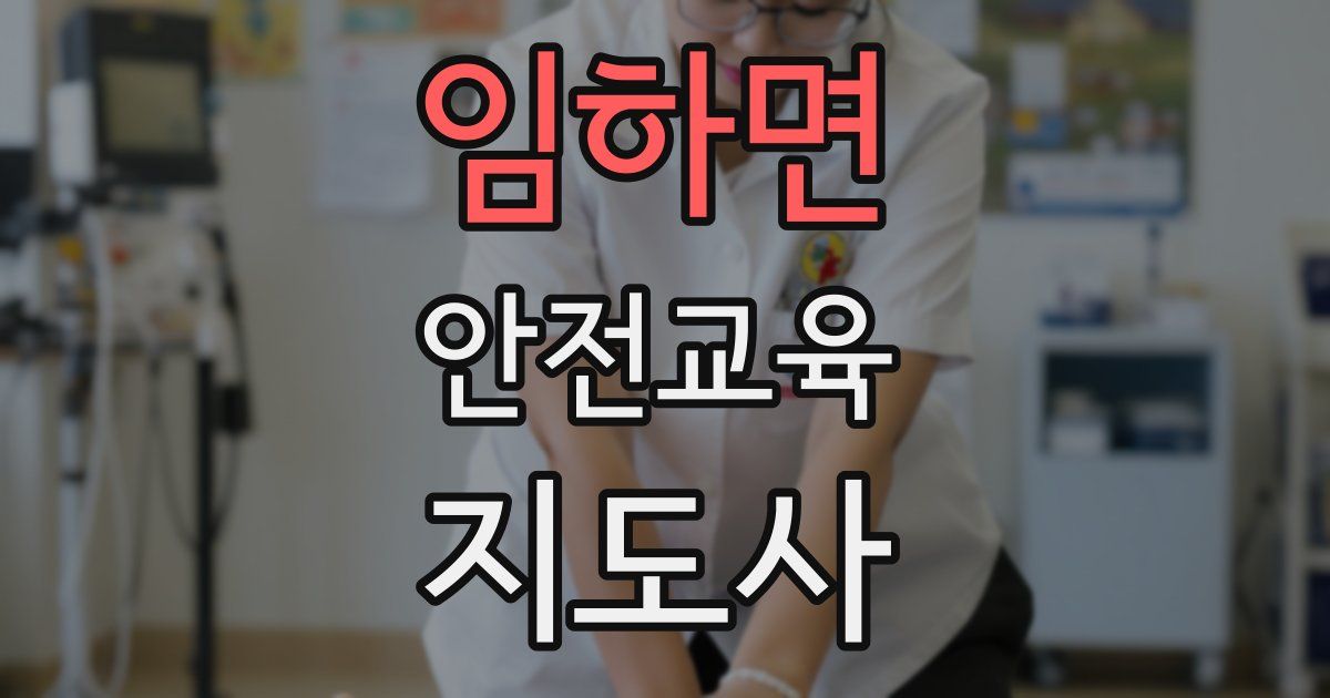 임하면 안전교육지도사 자격증