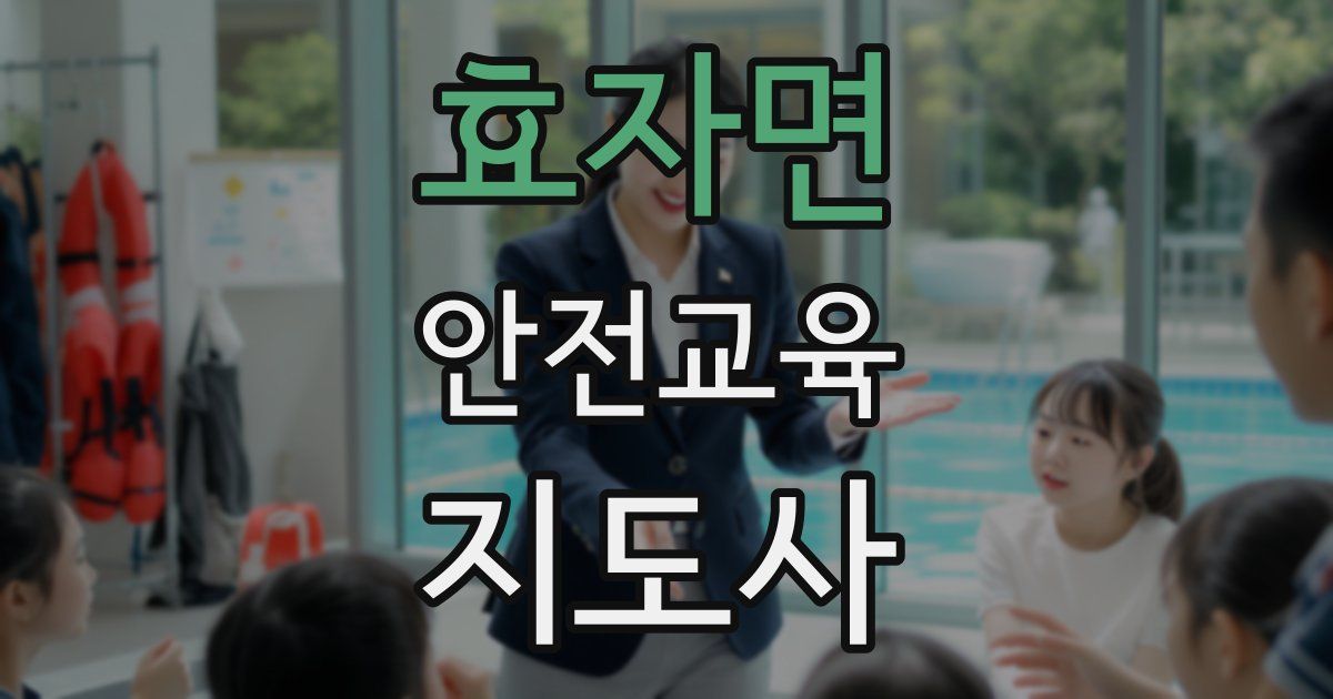 효자면 안전교육지도사 자격증