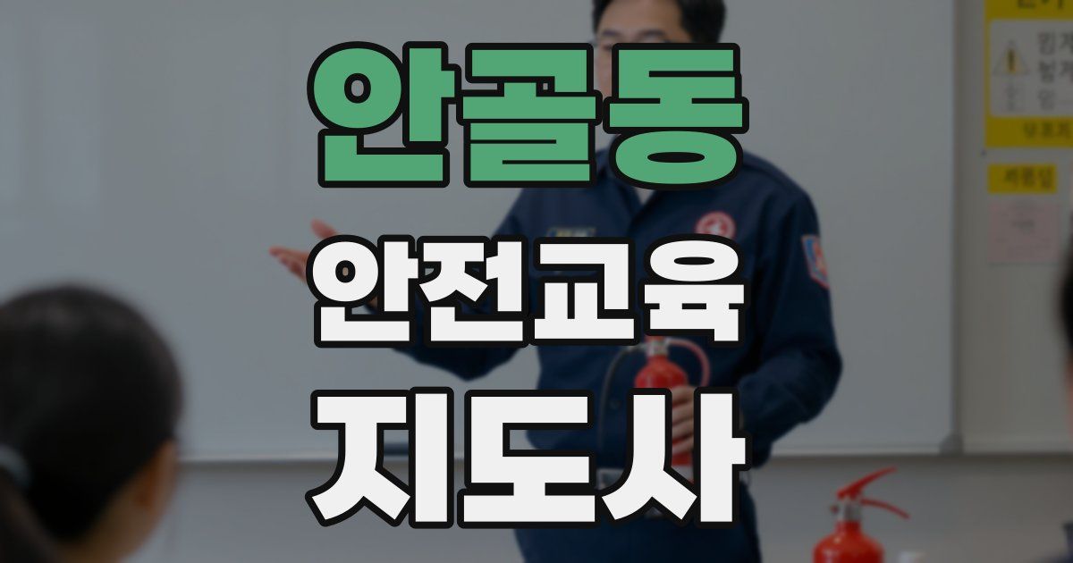 안골동 안전교육지도사 자격증