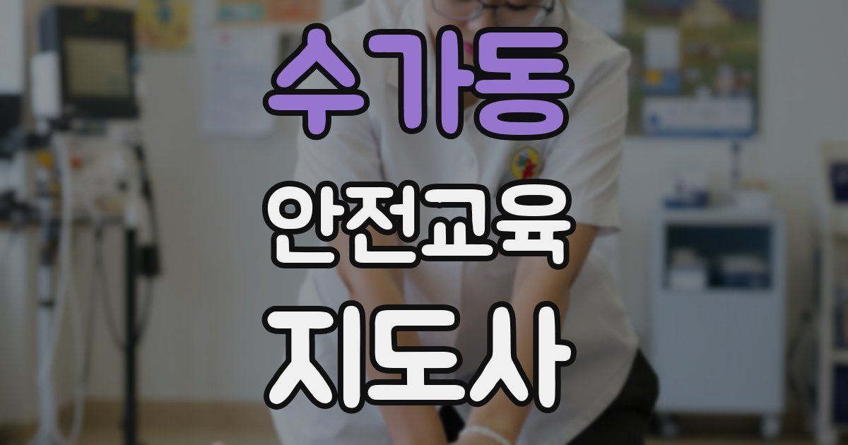 수가동 안전교육지도사 자격증