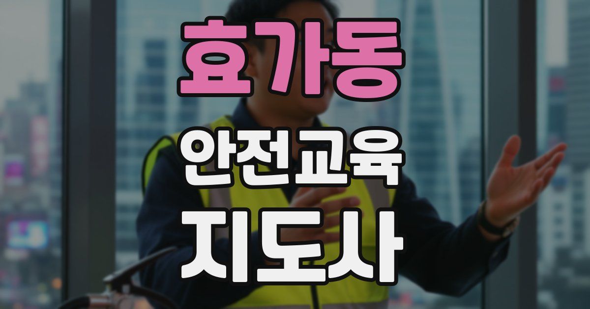 효가동 안전교육지도사 자격증