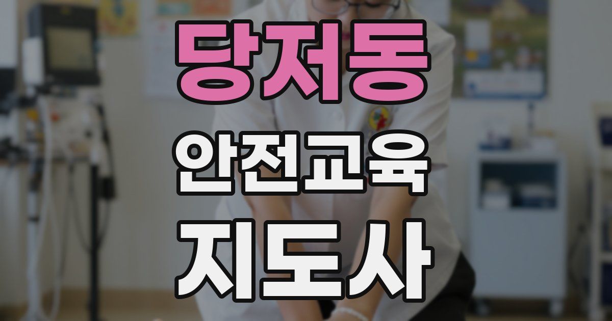 당저동 안전교육지도사 자격증