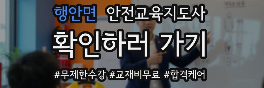 행안면 안전교육지도사 자격증