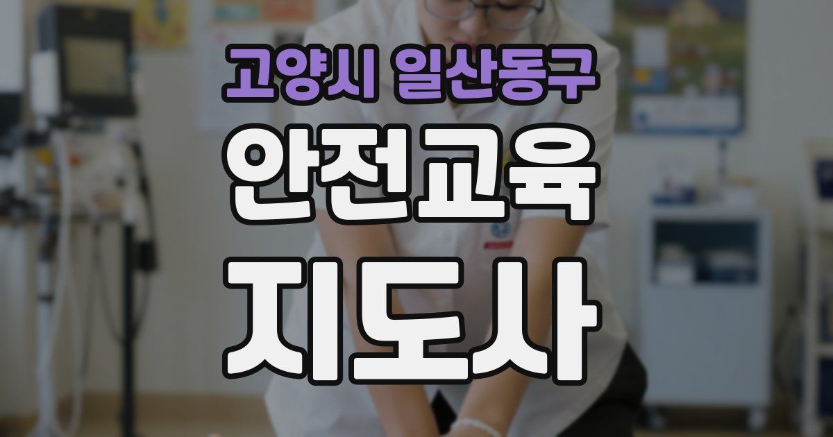 고양시 일산동구 안전교육지도사 자격증