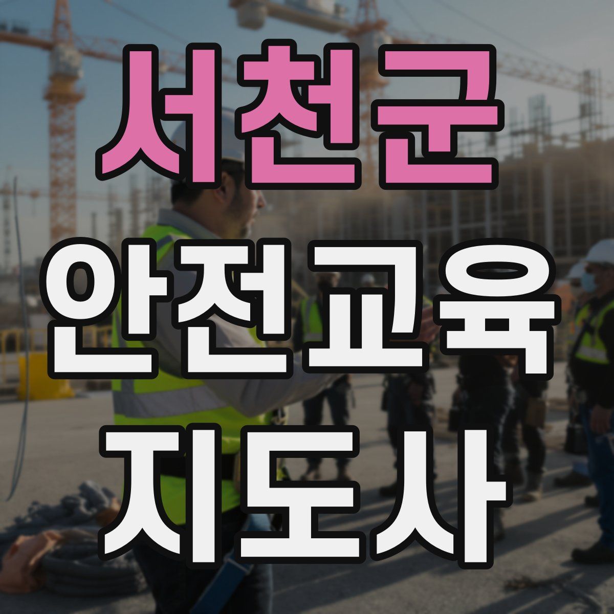 서천군 안전교육지도사 자격증