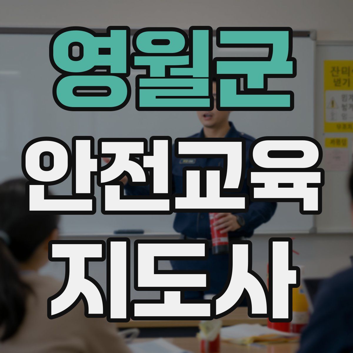 영월군 안전교육지도사 자격증