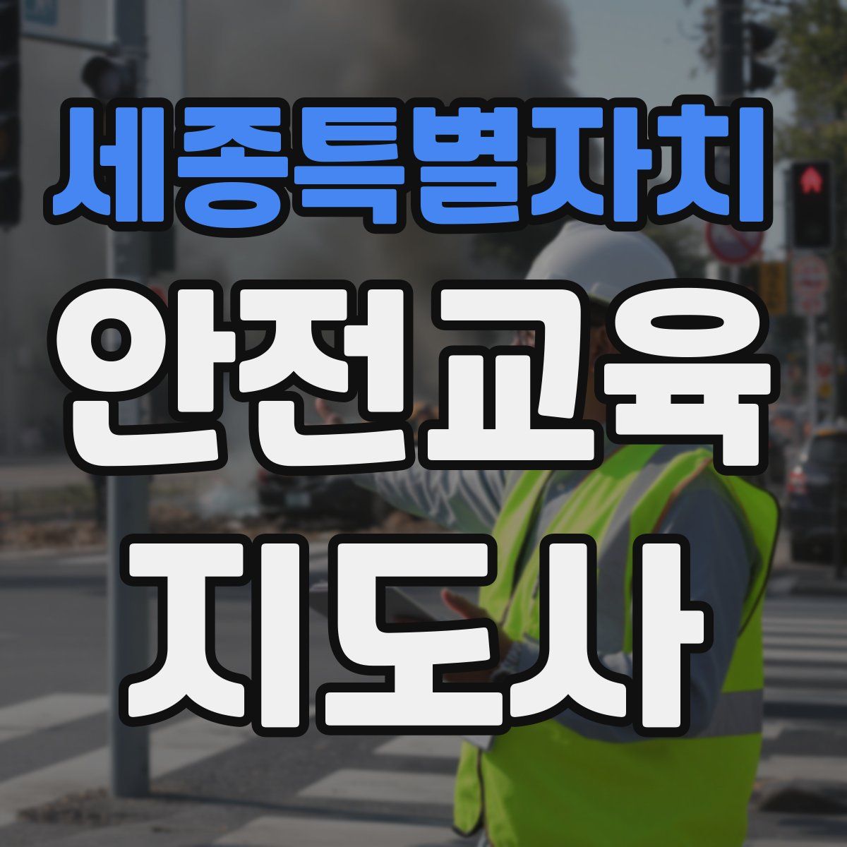 세종특별자치 안전교육지도사 자격증