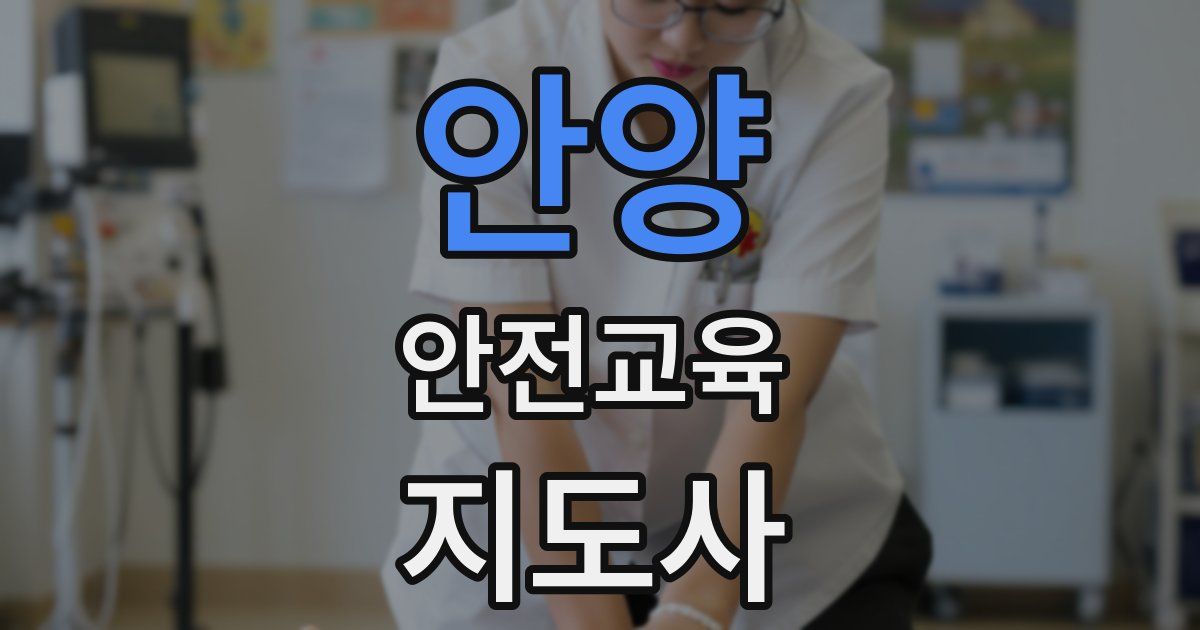 안양 안전교육지도사 자격증