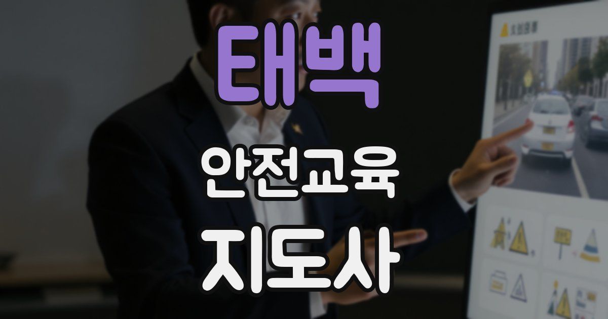 태백 안전교육지도사 자격증