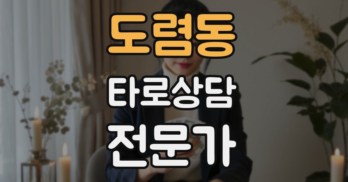 도렴동 타로상담전문가 자격증