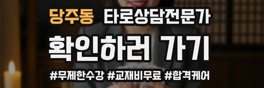 당주동 타로상담전문가 자격증