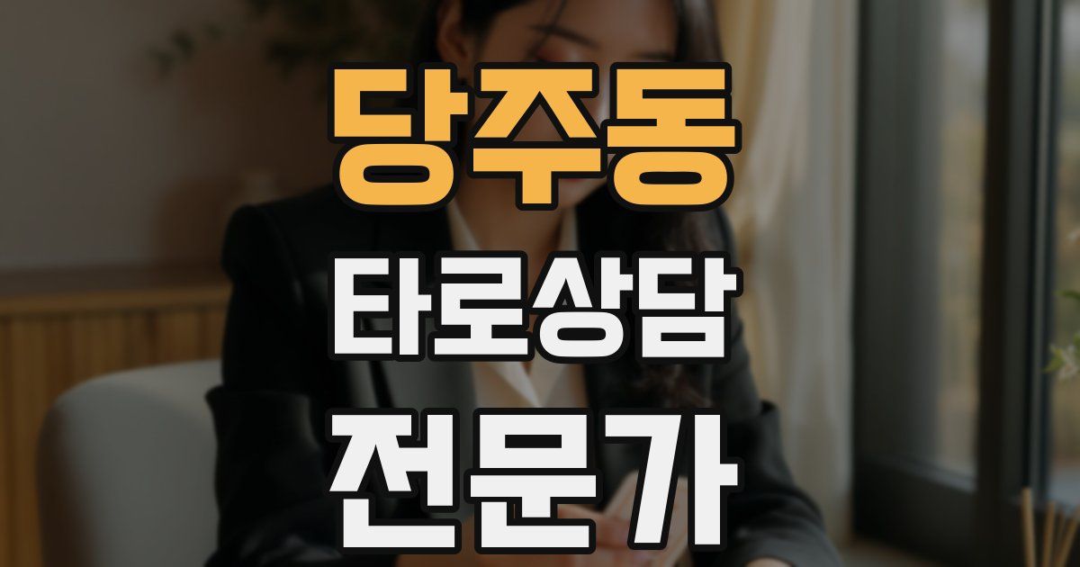 당주동 타로상담전문가 자격증