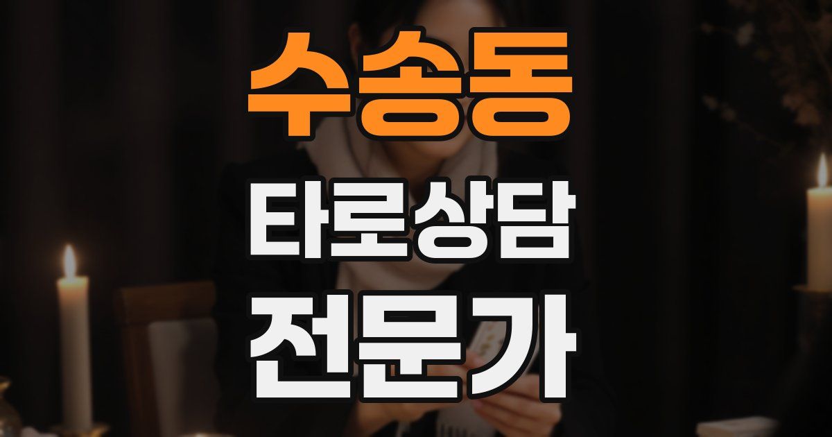 수송동 타로상담전문가 자격증