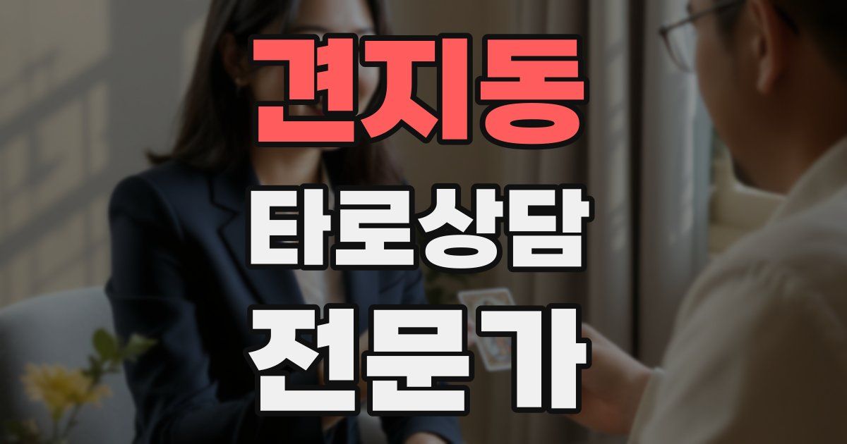 견지동 타로상담전문가 자격증
