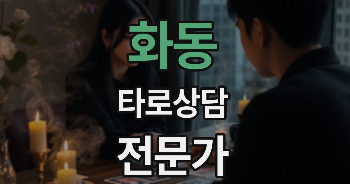 화동 타로상담전문가 자격증