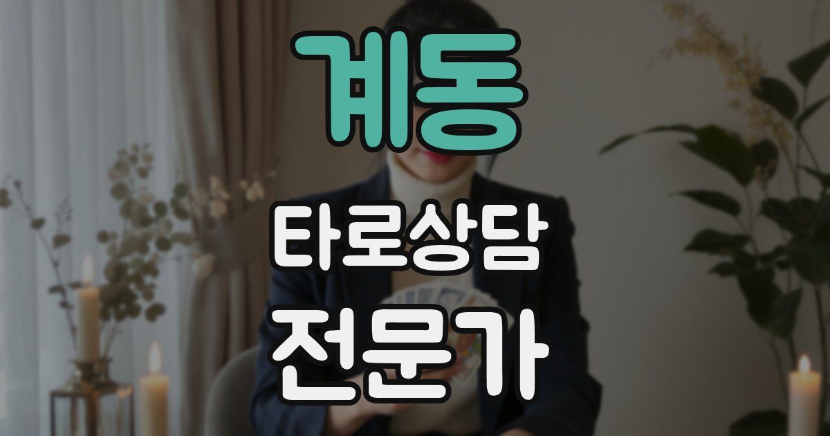 계동 타로상담전문가 자격증