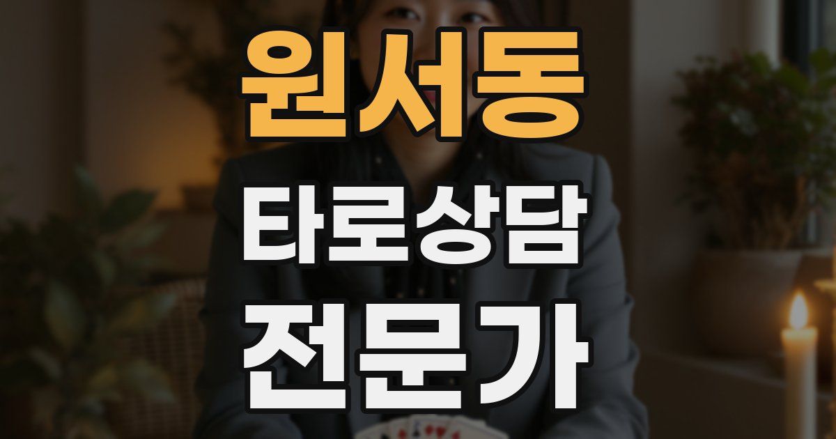 원서동 타로상담전문가 자격증