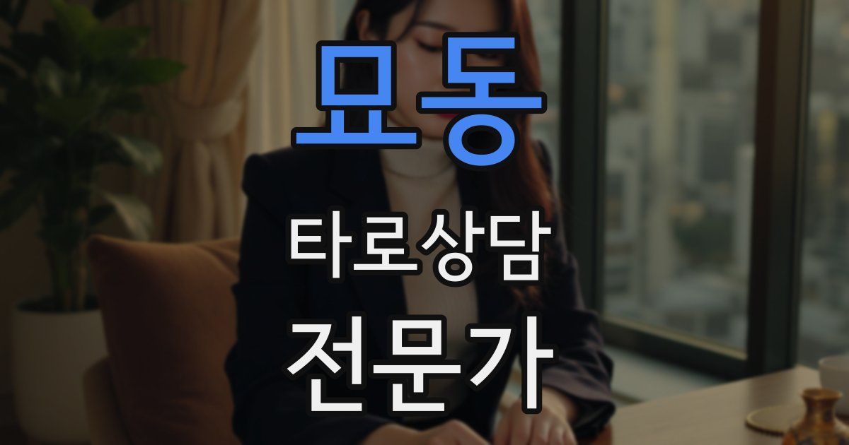 묘동 타로상담전문가 자격증