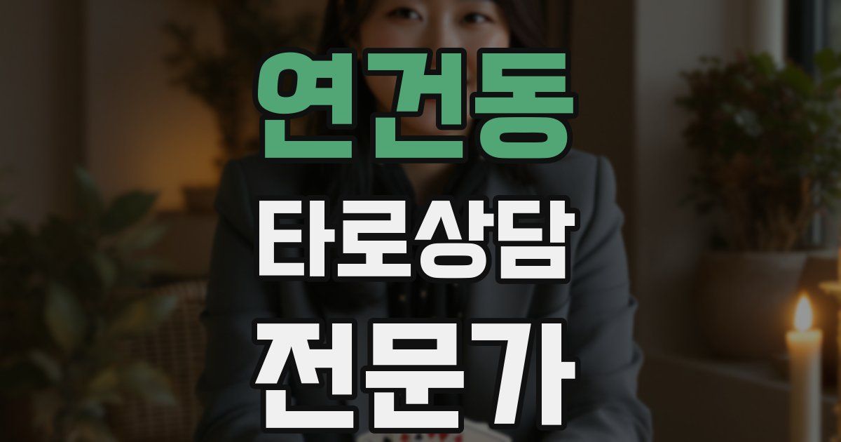 연건동 타로상담전문가 자격증