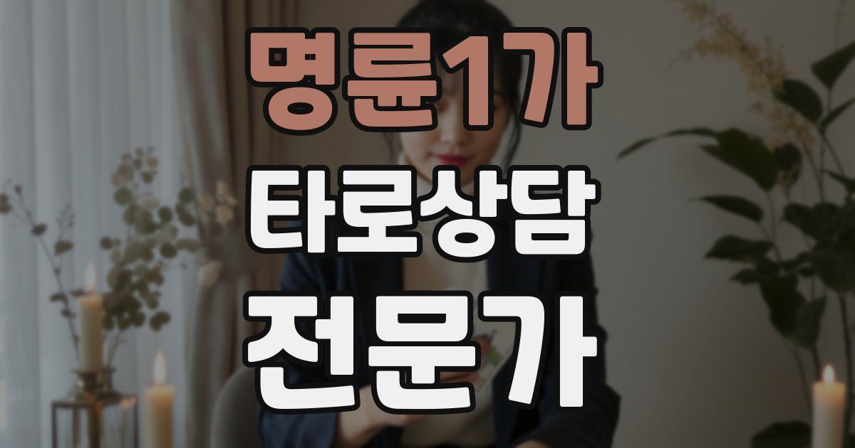명륜1가 타로상담전문가 자격증